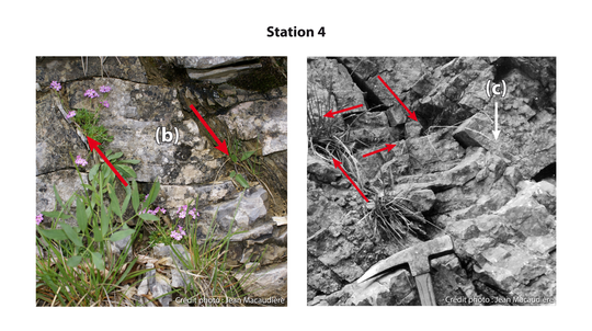 Cliquer sur la loupe pour agrandir l'image