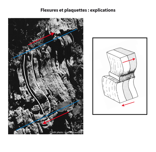 Cliquer sur la loupe pour agrandir l'image