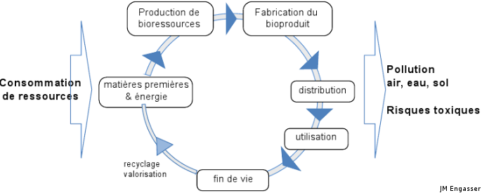 acvecoconcept