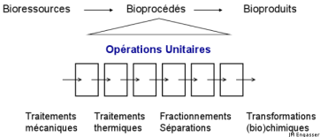 bioprocedesunit