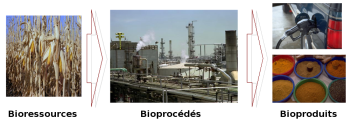 procede_bioproduit